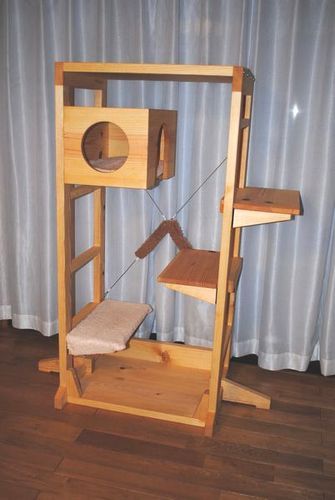 �L���b�g�^���[S