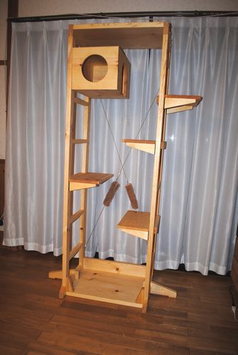 �L���b�g�^���[L