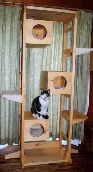 �L���b�g�^���[L